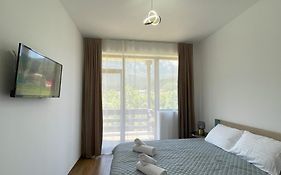 Alpine River Home: Peace And Mountain View